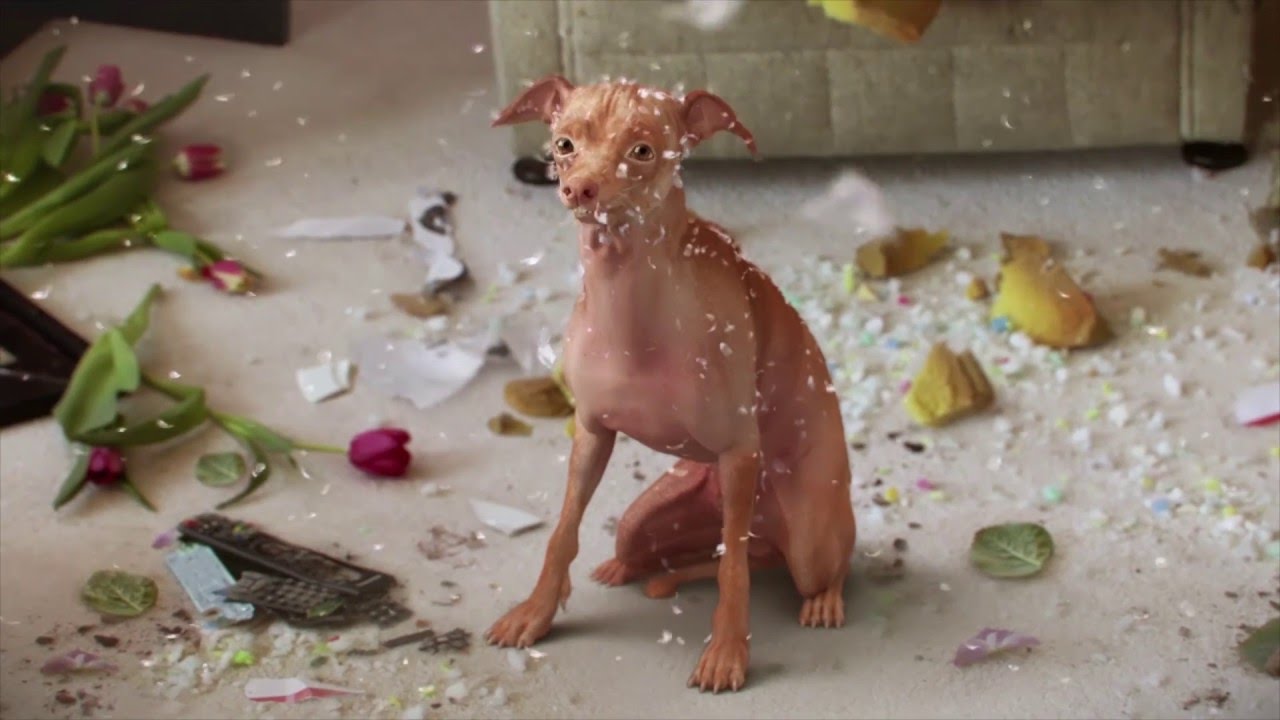 Kofola: Fofola (All Spots in English)