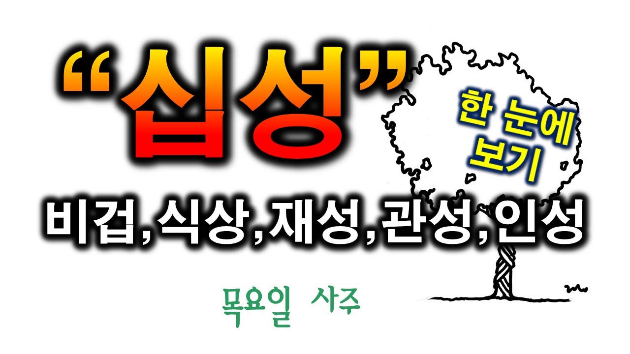십성 한눈에 보기 Ⅰ(27일~32일차)