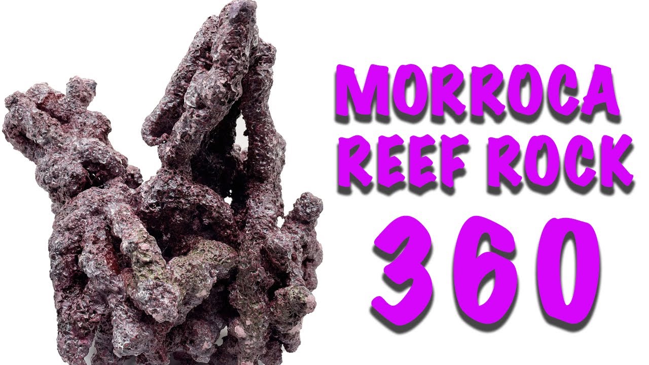 Tropic Eden Morroca Irregular Reef Rock - Medium with 2 Extensions - 360 View