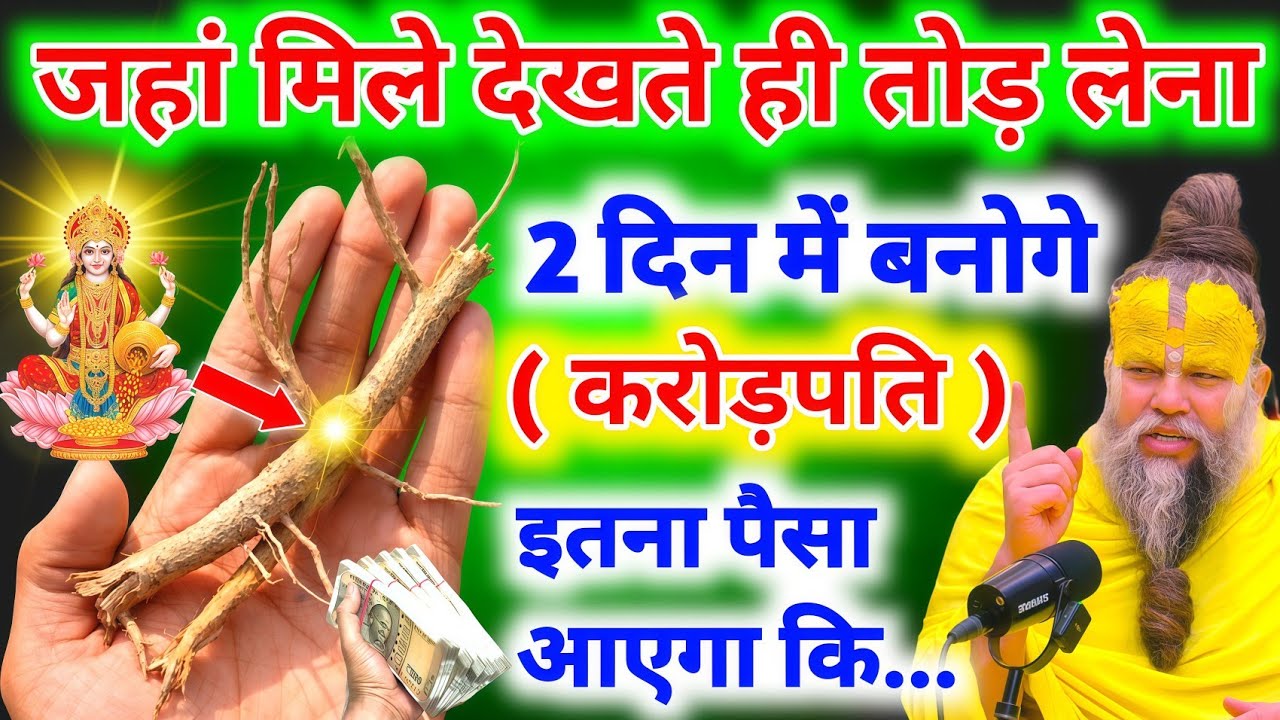 जहां मिल जाए देखते ही तोड़ लेना ये जड़, मात्र 2 दिन में बदल देगा आपकी जिंदगी || vastu Shastra #upay