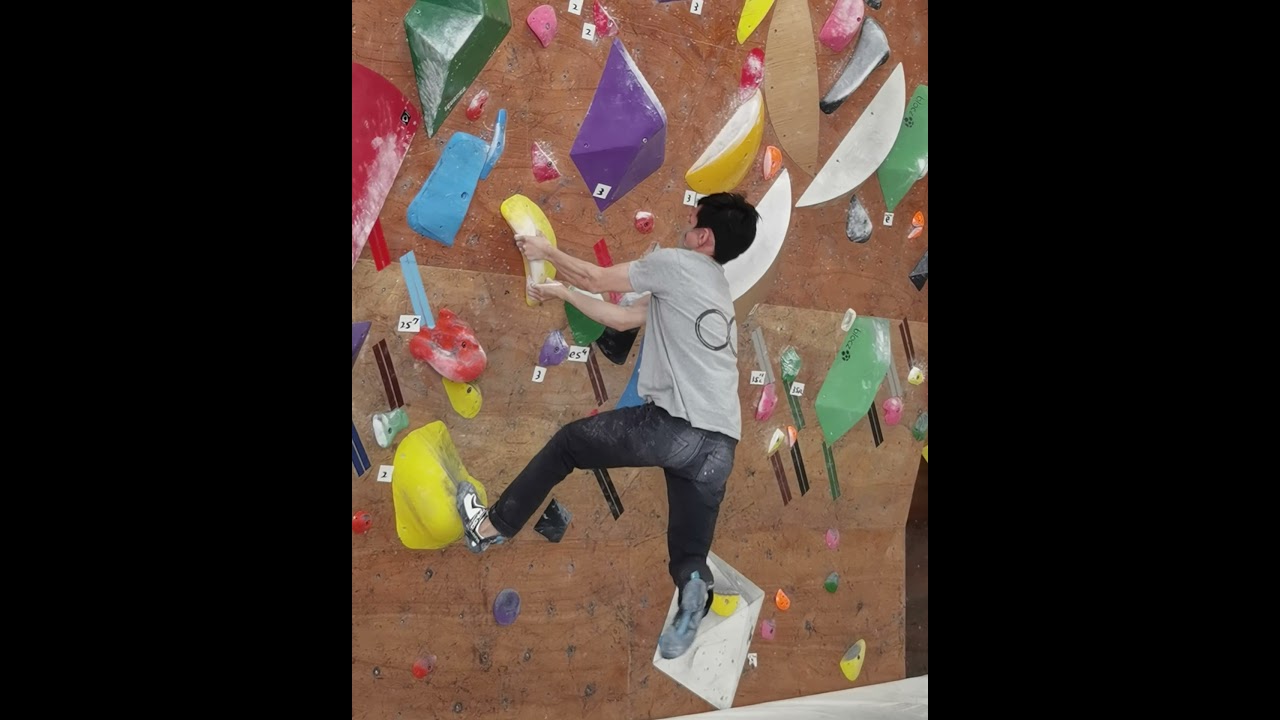 Climbing Gym Walrus 2Q