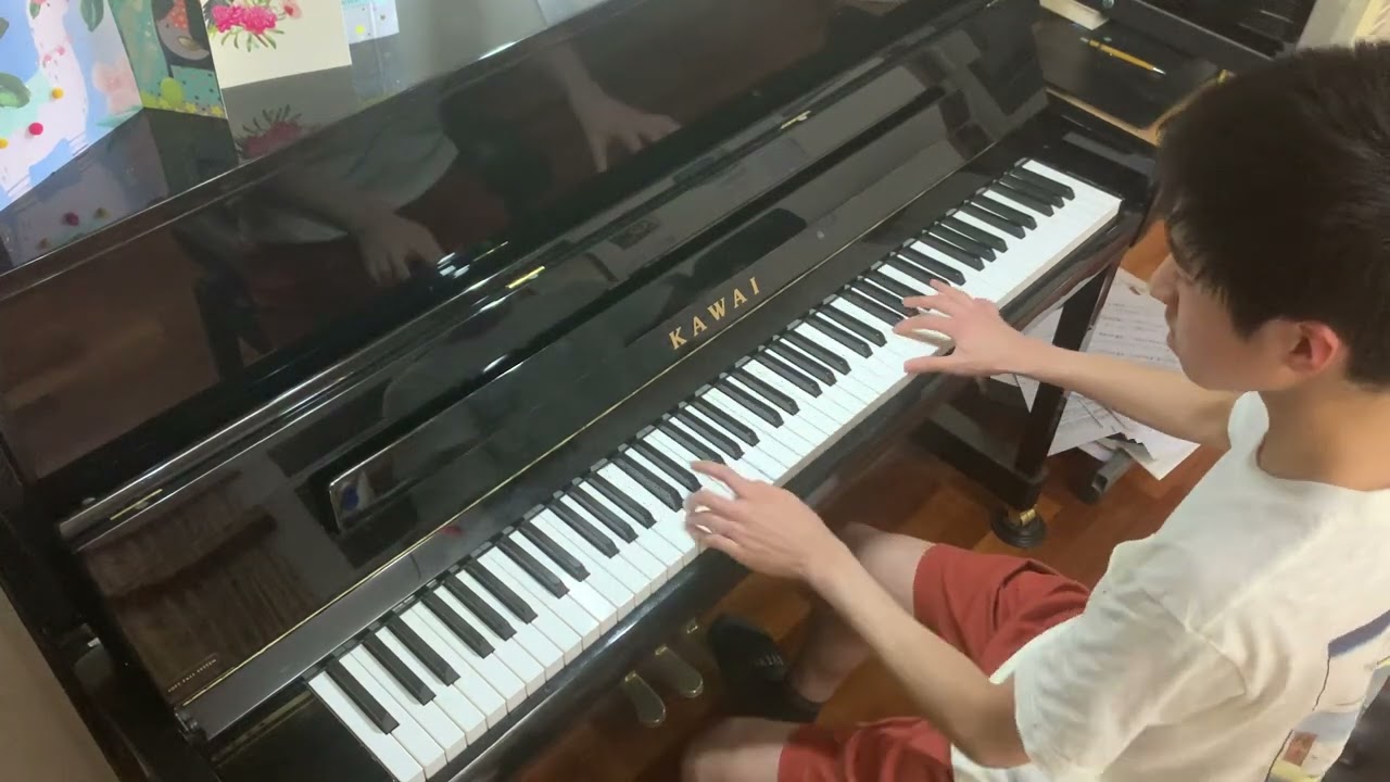 Liebestraum No. 3 (Love Dream) - Lizst