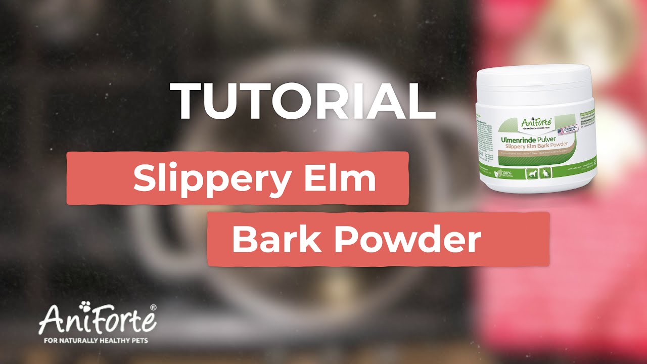 How to properly use Slippery Elm Bark Powder