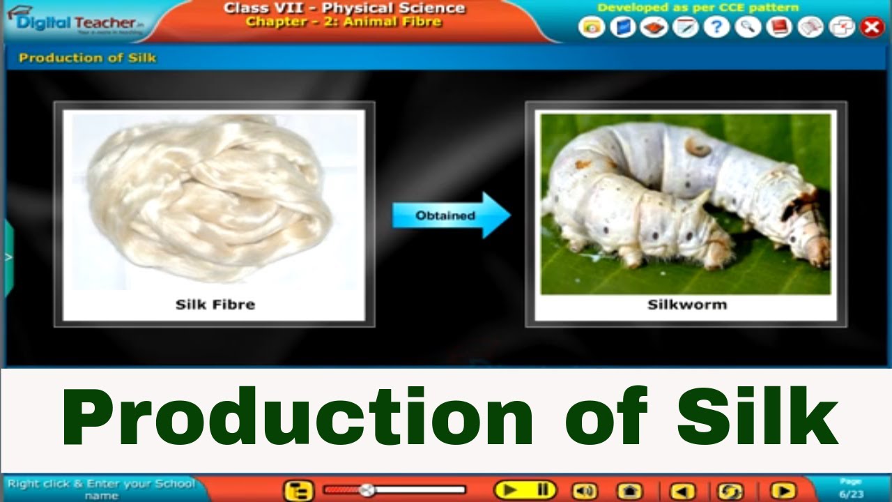 Production of Silk - Animal Fibre, Class 7 Physics | Digital Teacher