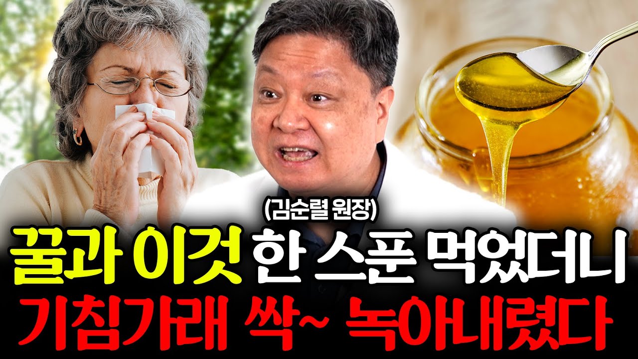 몸 속 독이 되는 가래, 매일 꿀과 이것 매일 먹으면 기침 가래 싹 사라집니다 (김순렬 원장 2부)