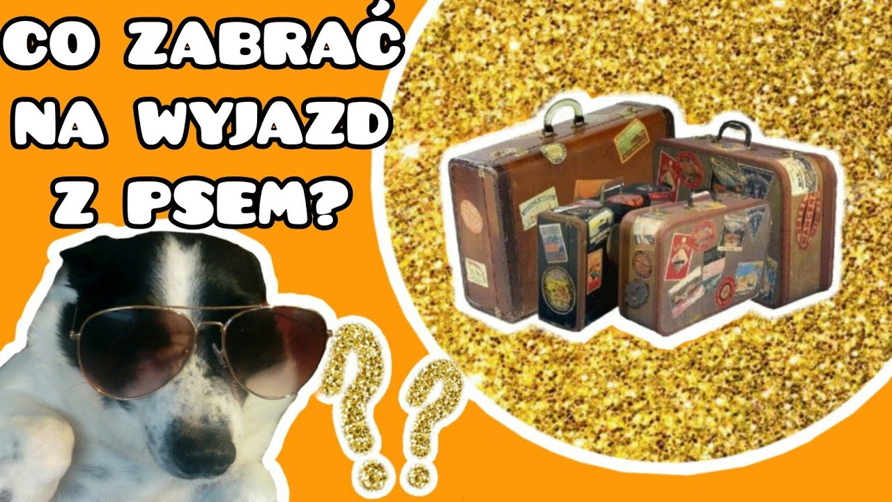 Co zabrać na wyjazd z psem?