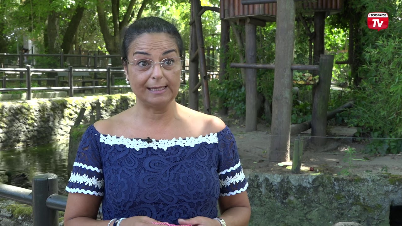 Conheça o Zoo da Maia e apadrinhe um animal