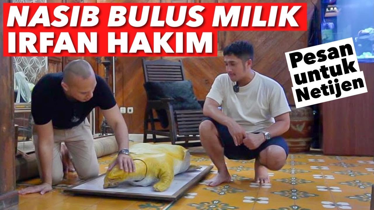 FIX PENGEN PUNYA HEWAN INI GARA2 IRFAN HAKIM 😂