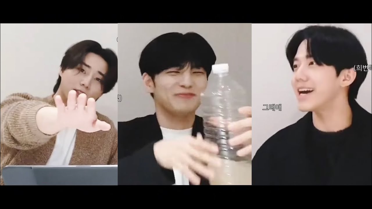 [데이식스] 두서는 없지만 재미는 있는 그들
