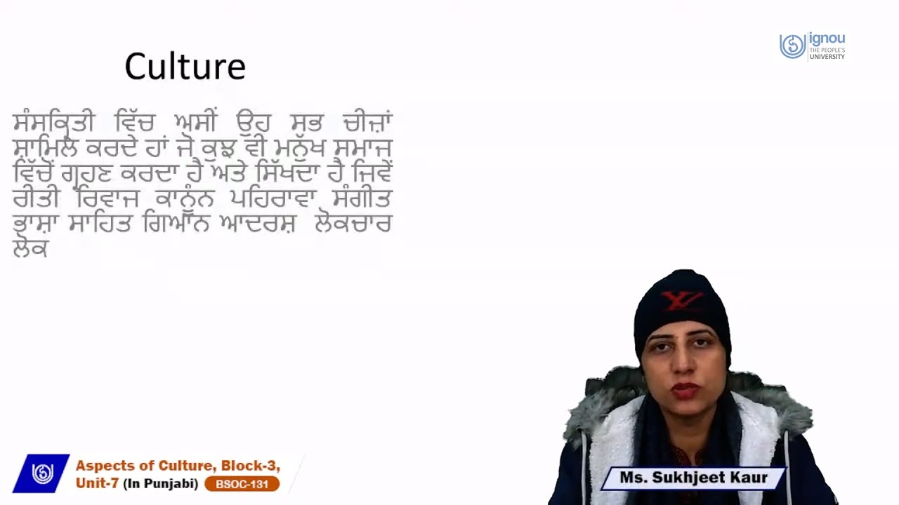 Aspects of Culture