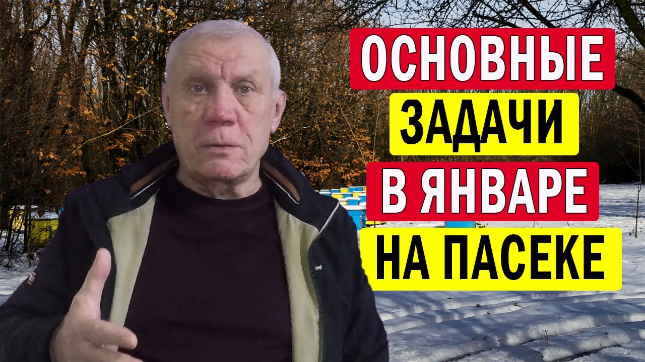Главная задача пчеловода в январе.