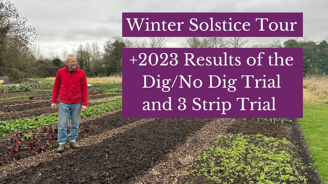 No dig garden 1500 m² ready for spring, trial bed comparisons, winter vegetables and cover crops