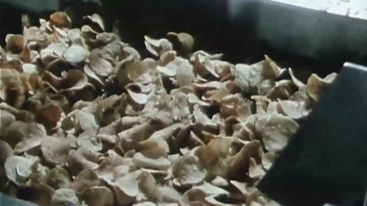 Zemiakov&eacute; lupienky za socializmu (1987)