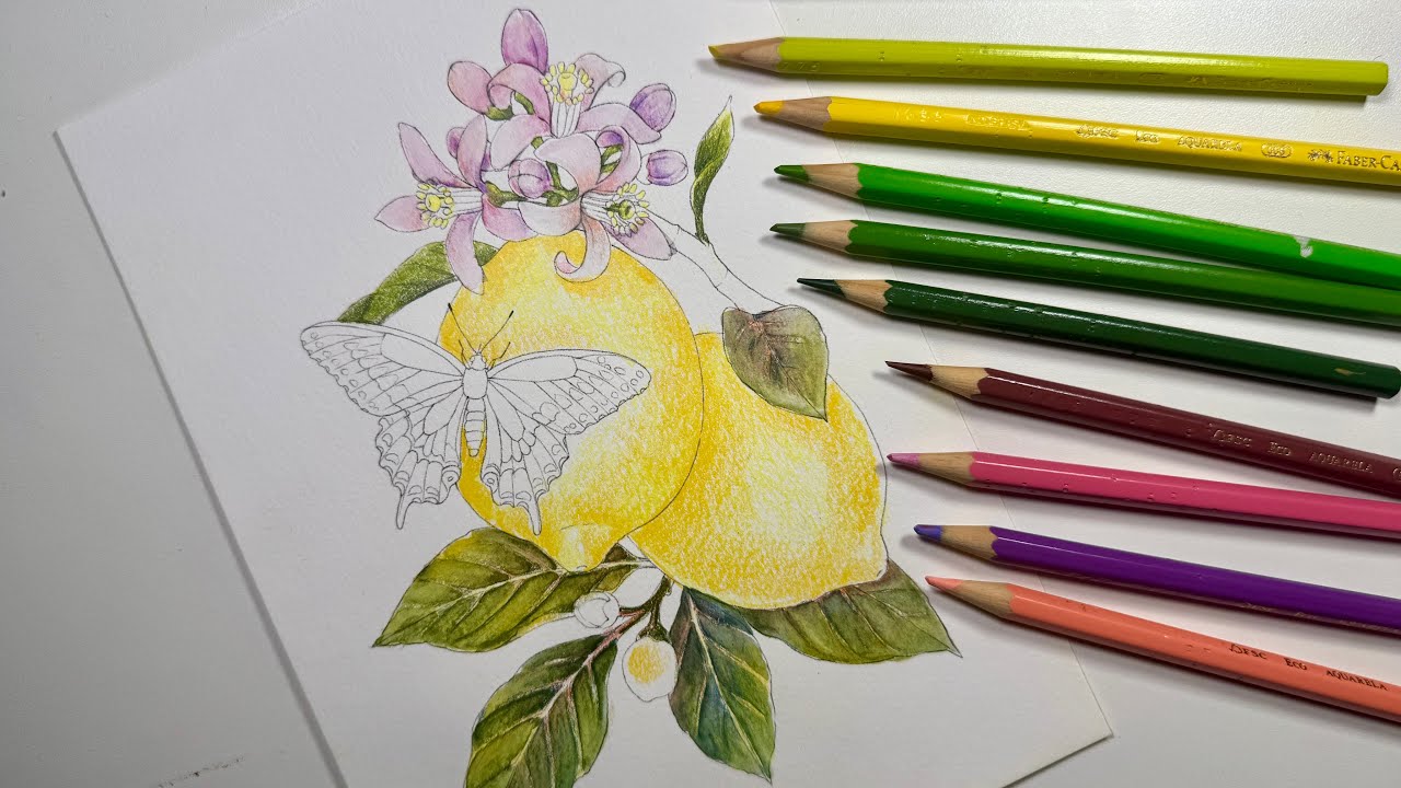 Parte 1 / Pintura de limão com borboleta com lápis de cor / Marcio Graff