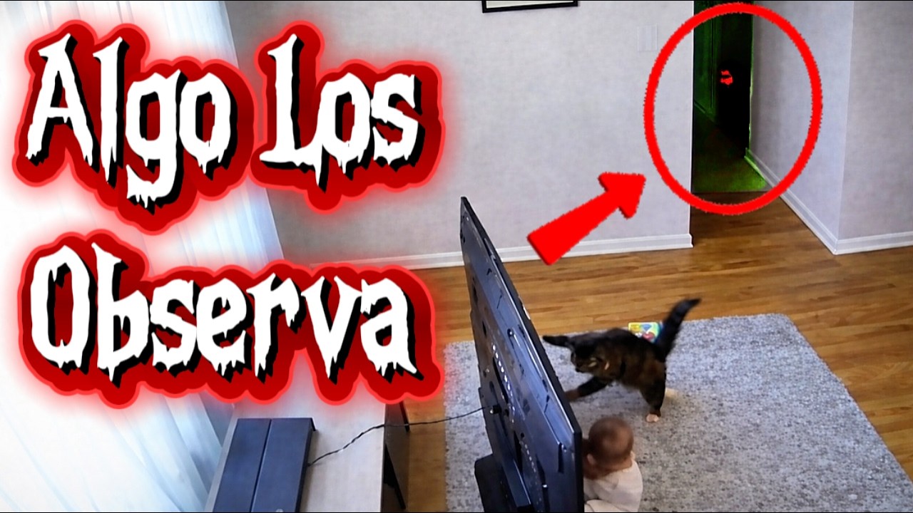 CUIDADO cuando tu PERRO LE LADRÉ A LA OSCURIDAD 😨😨 estos animales salvaron a sus dueños