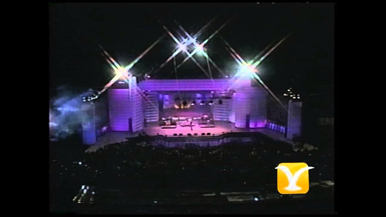 King Africa, Saltando sin parar - Mama yo quiero, Festival de Viña del Mar 1995