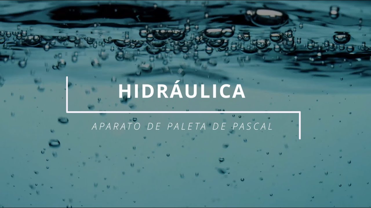 APARATO DE PALETA DE PASCAL