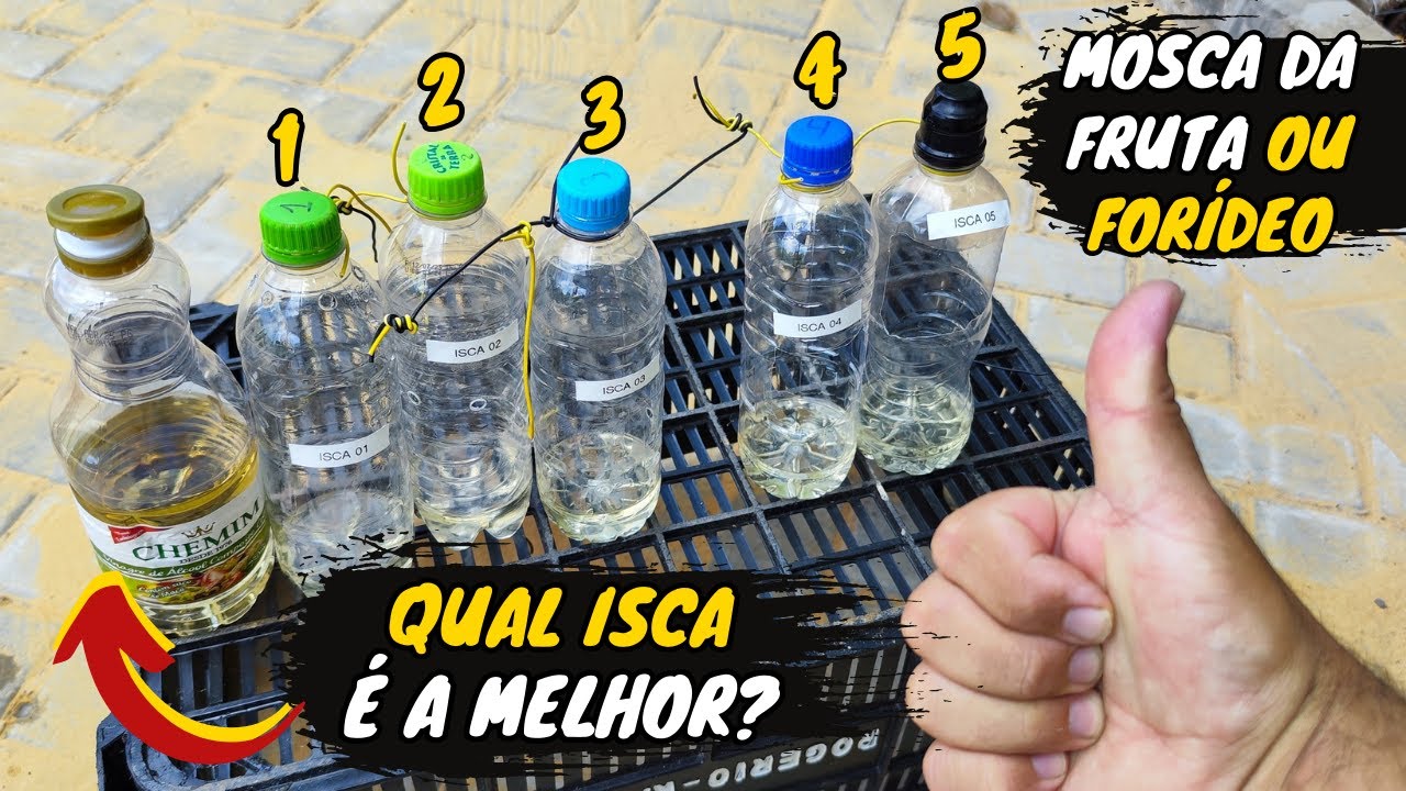 ISCA para MOSCA da FRUTA e FORÍDEO (Novidade)
