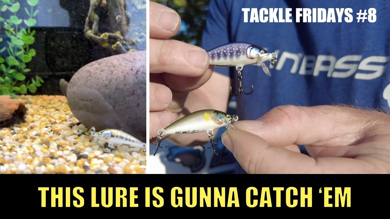 Tackle Fridays #8