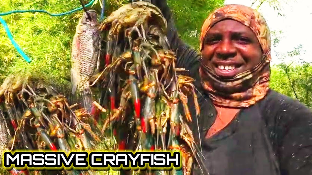 I Went Solo Spearfishing… Didn’t Expect This 😳