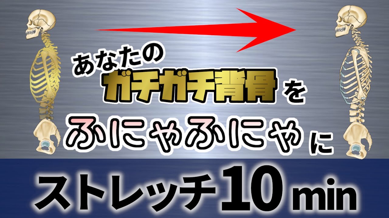 ガチガチに固まったあなたの背骨をふにゃふにゃに【10分ストレッチ】