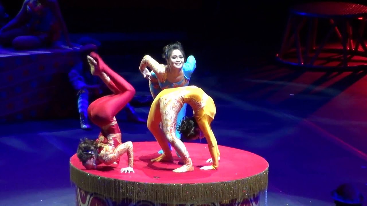 Barnum 200 Contortionists