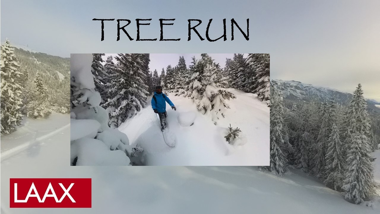 TREE RUN LAAX :-)