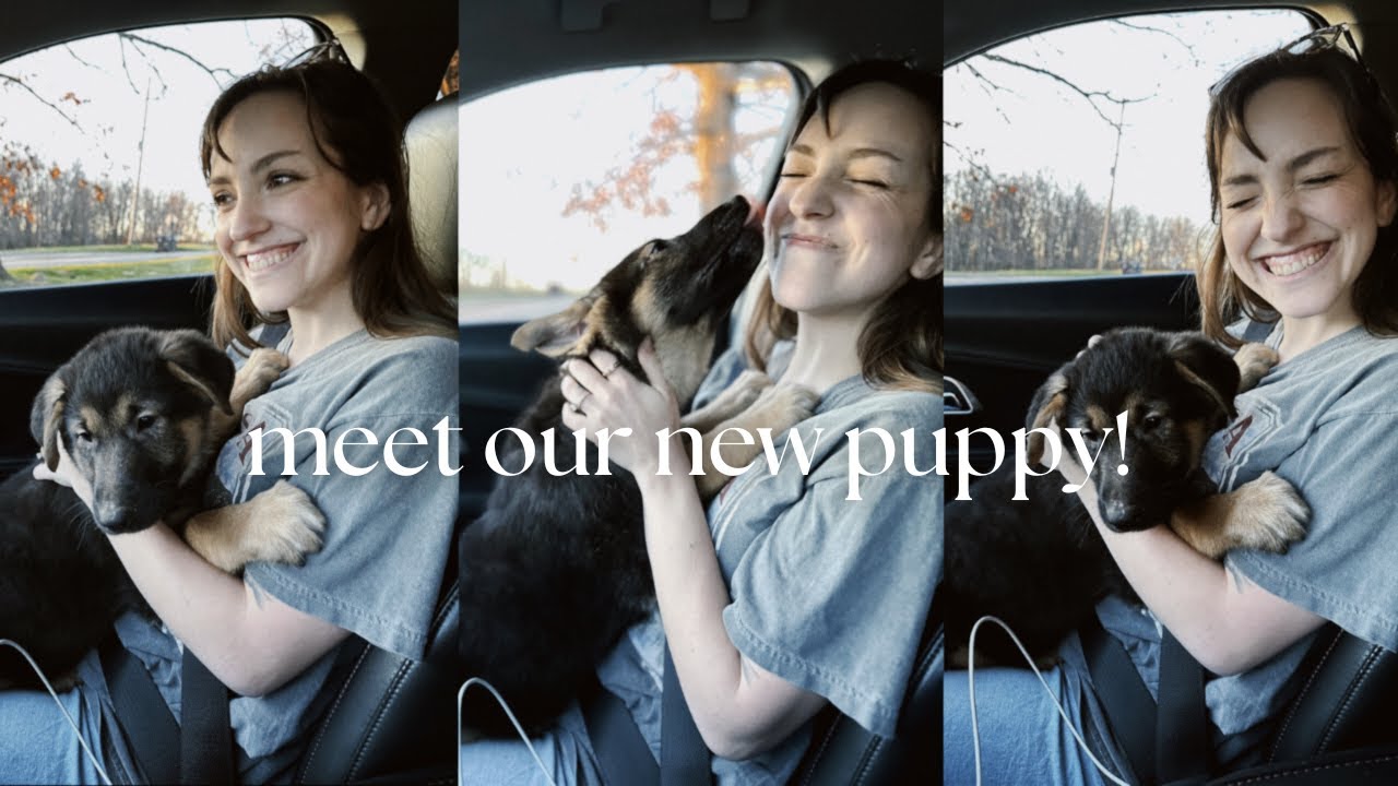 what i keep on my bible bag and adopting a german shepherd aussie shepherd mix!