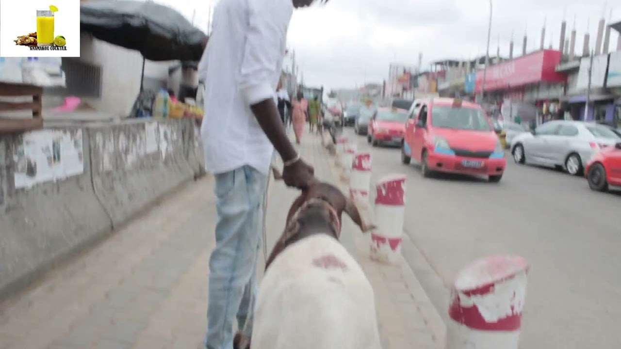 degamage avec le mouton de Tabaski, mouton la à foutaise 😂