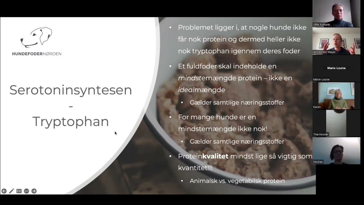 Giver din hunds fuldfoder den nok protein?