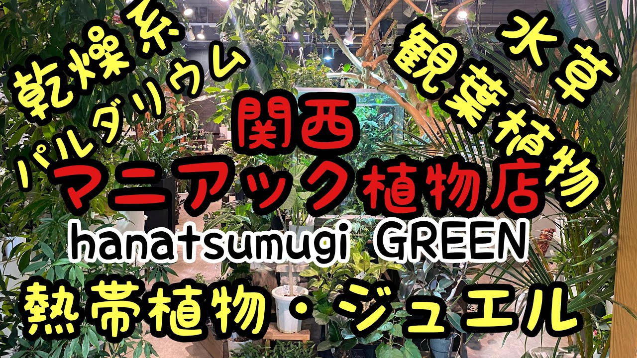 マニアック植物店/ hanatsumugi GREEN