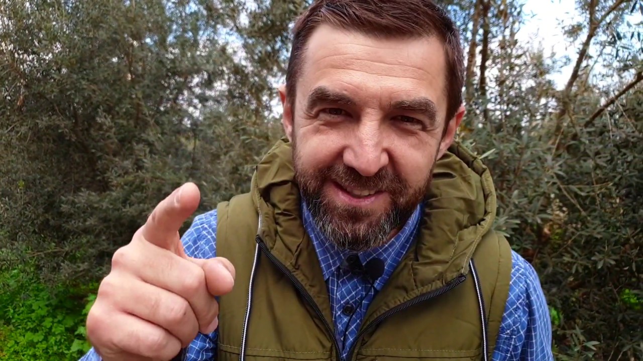 Еще один Вифлеем | Израиль | Оливковое масло |  Виртуальные путешествия