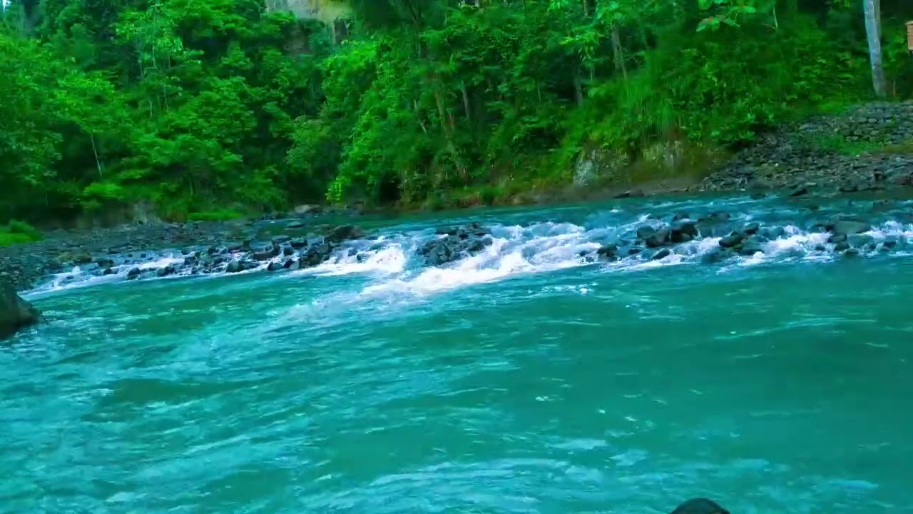 Sleep Soundly with Peaceful River Melody and Calm Water Sounds in Peaceful Forest