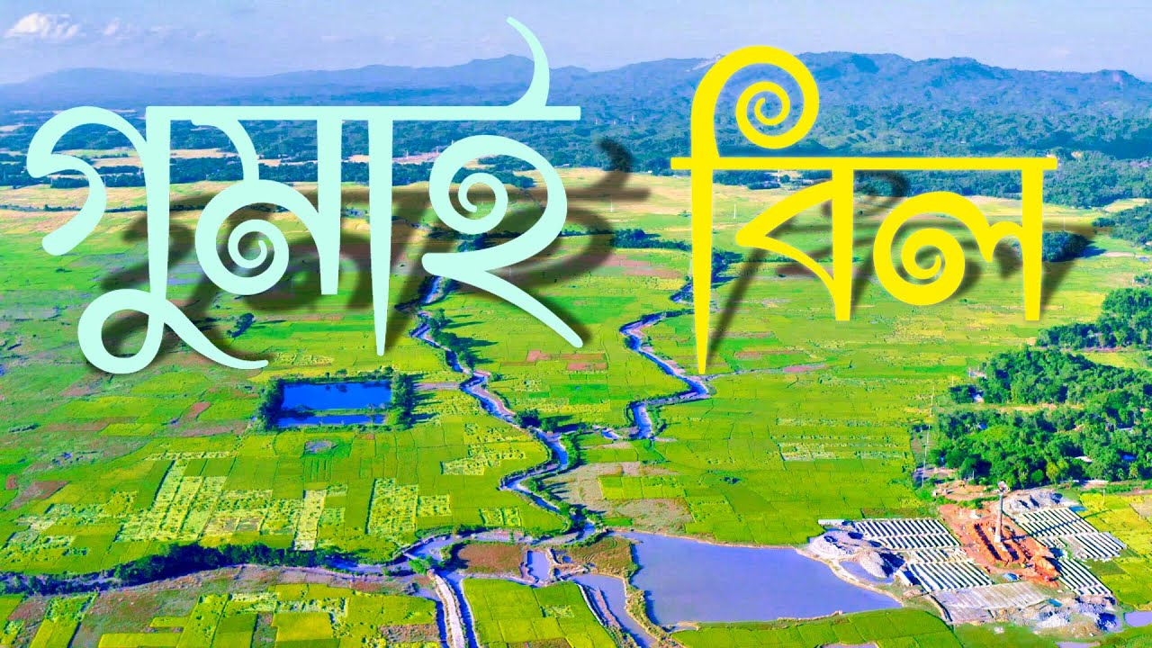 GUMAI BILL । গুমাই বিল । Rangunia | Minhad Mahmud