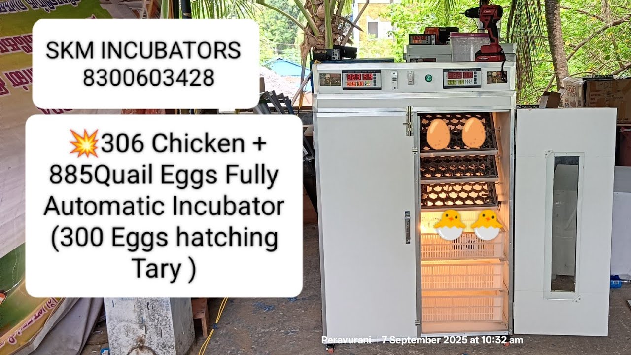  💥306 Chicken + 885Quail Eggs Fully Automatic Incubator (300 Eggs hatching Tary )Phone no.8300603428
