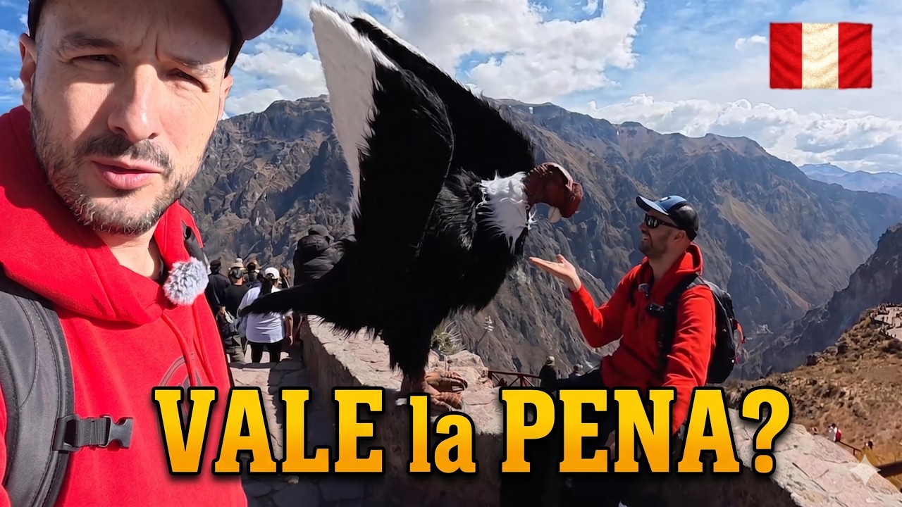 ¡EL VUELO DEL CÓNDOR! 🇵🇪 🦅 Cañón del Colca: El más profundo del mundo | Descubriendo Perú VLOG 10