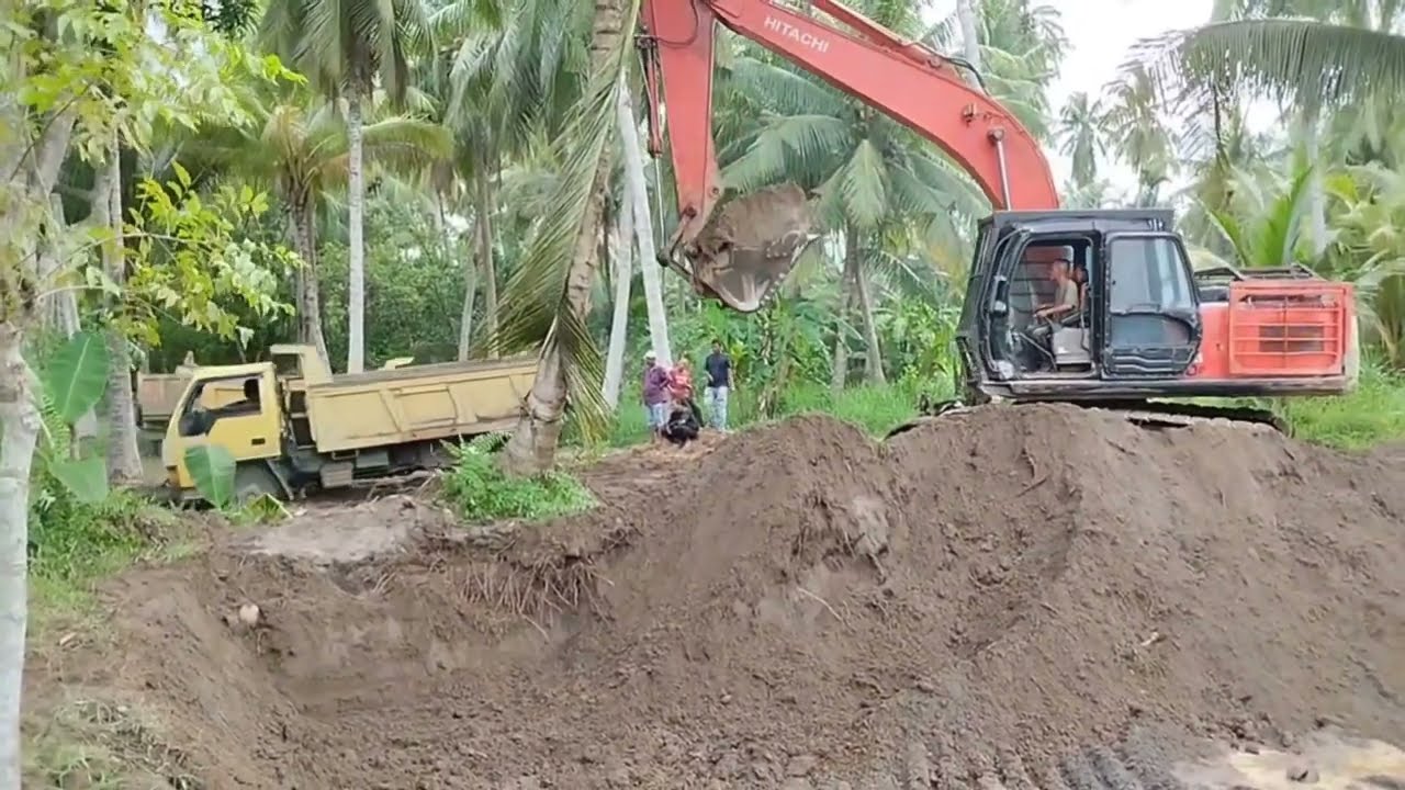Amazing proces of digging and loading sandy soil