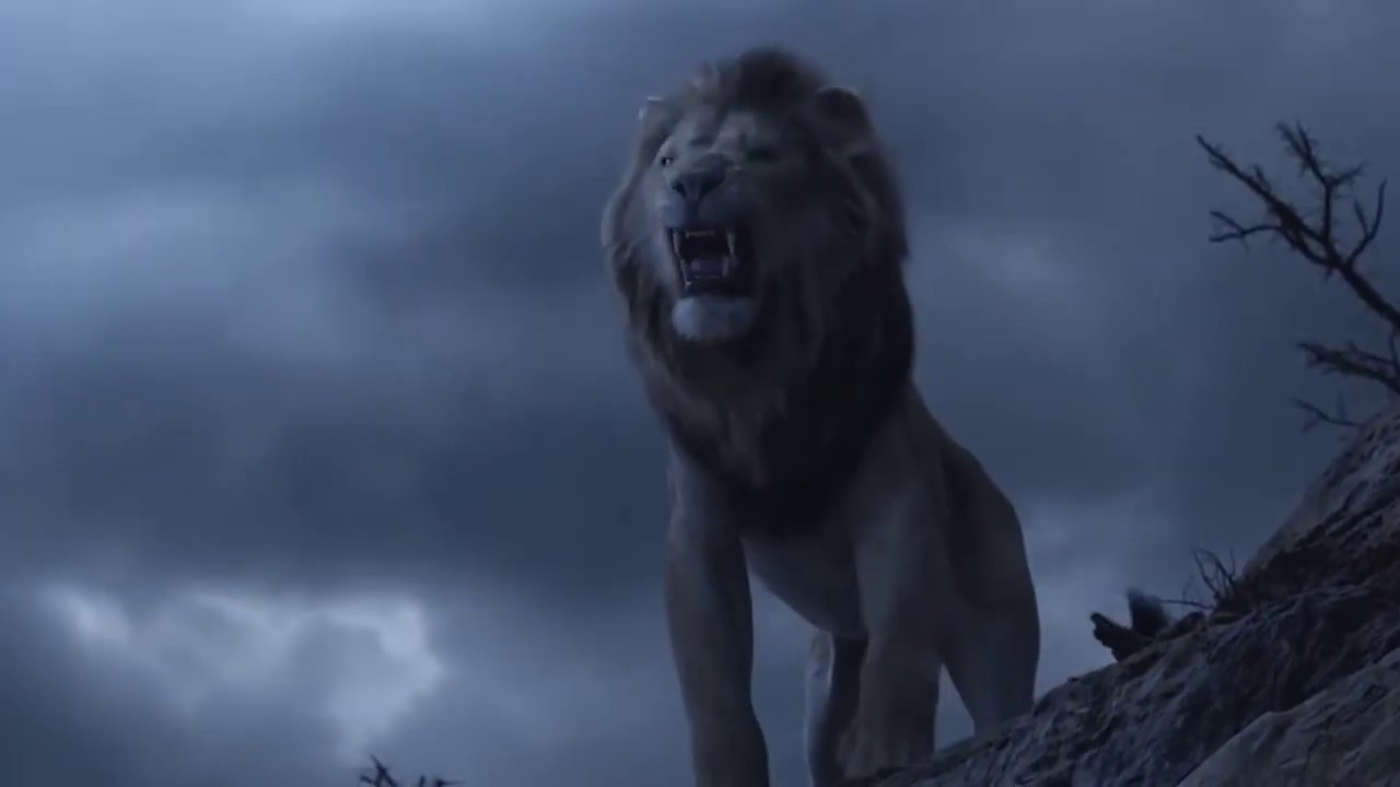 Right Roar Media - Intro