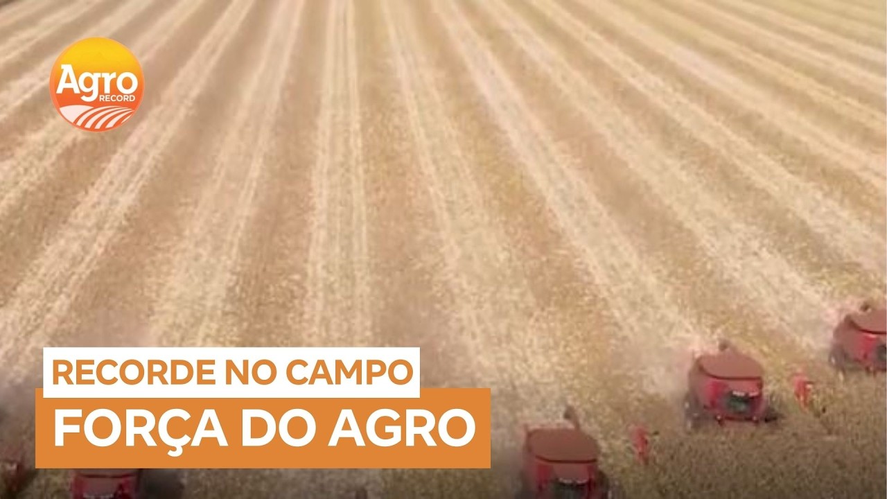 Safra histórica impulsiona agronegócio em Goiás