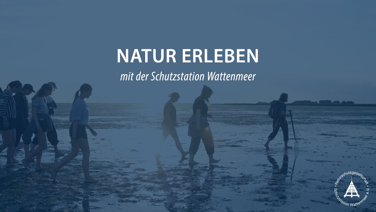Schutzstation Wattenmeer: Mit uns Natur erleben