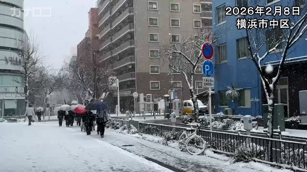 神奈川県西部に大雪警報　横浜、川崎などに大雪注意報　横浜で積雪２センチ／神奈川新聞（カナロコ）