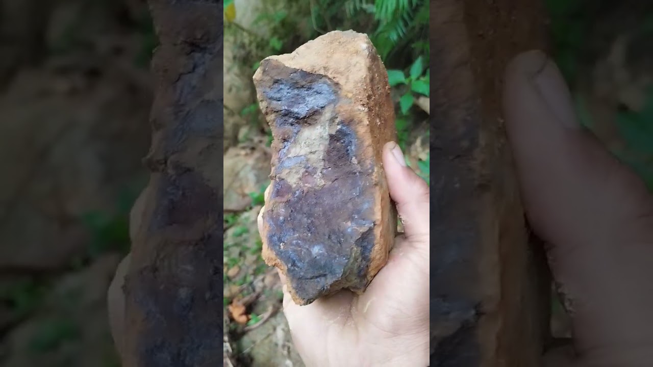 BAGINILAH JENIS BATUAN YANG MENGANDUNG UNSUR LOGAM EMAS DAN BESI#short #tambangemas #batuanemas