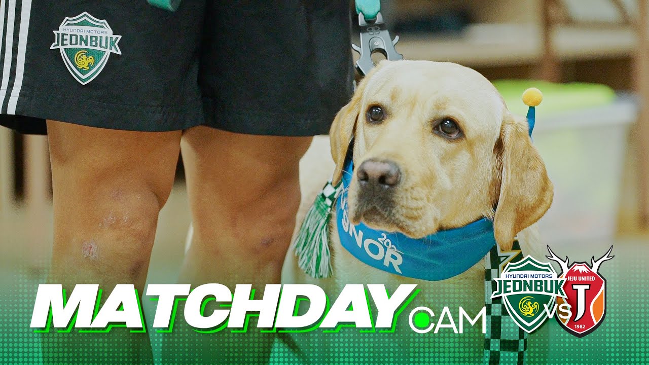 밝은 달 아래 헌혈견과 함께 힐링🦮💚| MATCHDAY CAM