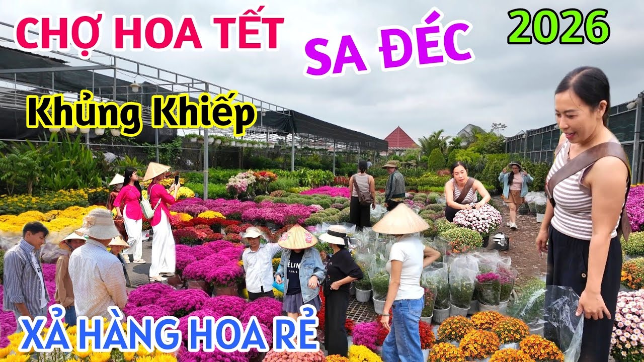 XÔN XAO, HOA TẾT CUỐI NĂM XÃ HÀNG GIÁ RẺ