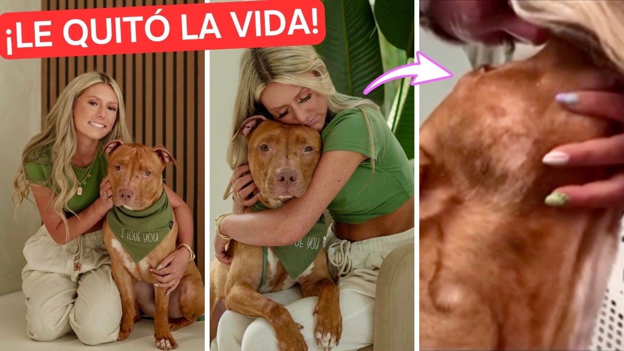 Mujer le QUITA LA VIDA a su perro por esto! 😞