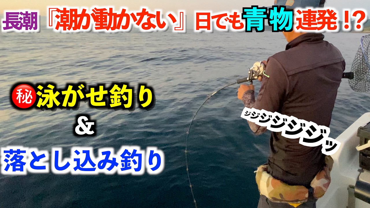 宮崎県近海落とし込み釣り&㊙️泳がせ釣り　釣りバトVol.13【魚ＶＳ出費！釣り1年間ガチ収支バトル！】