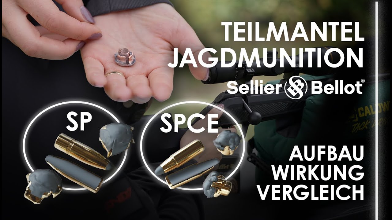 Teilmantelmunition erklärt 🔍 | SP vs. SPCE im Praxistest – Wirkung, Aufbau & Jagdeinsatz