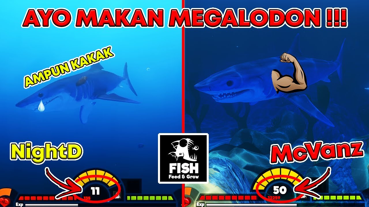 MEGALODON HANYALAH SEMUT DIHADAPANKU !!! KALAHIN @NightD24 DAN JADI PENGUASA LAUTAN !!!