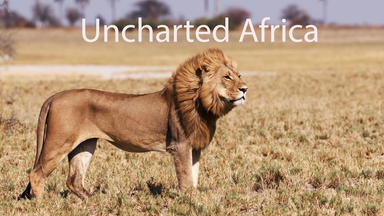 Uncharted  Africa -  Jacks, San Camp, Camp Kalahari. Botswana. Natural Selection Travel.