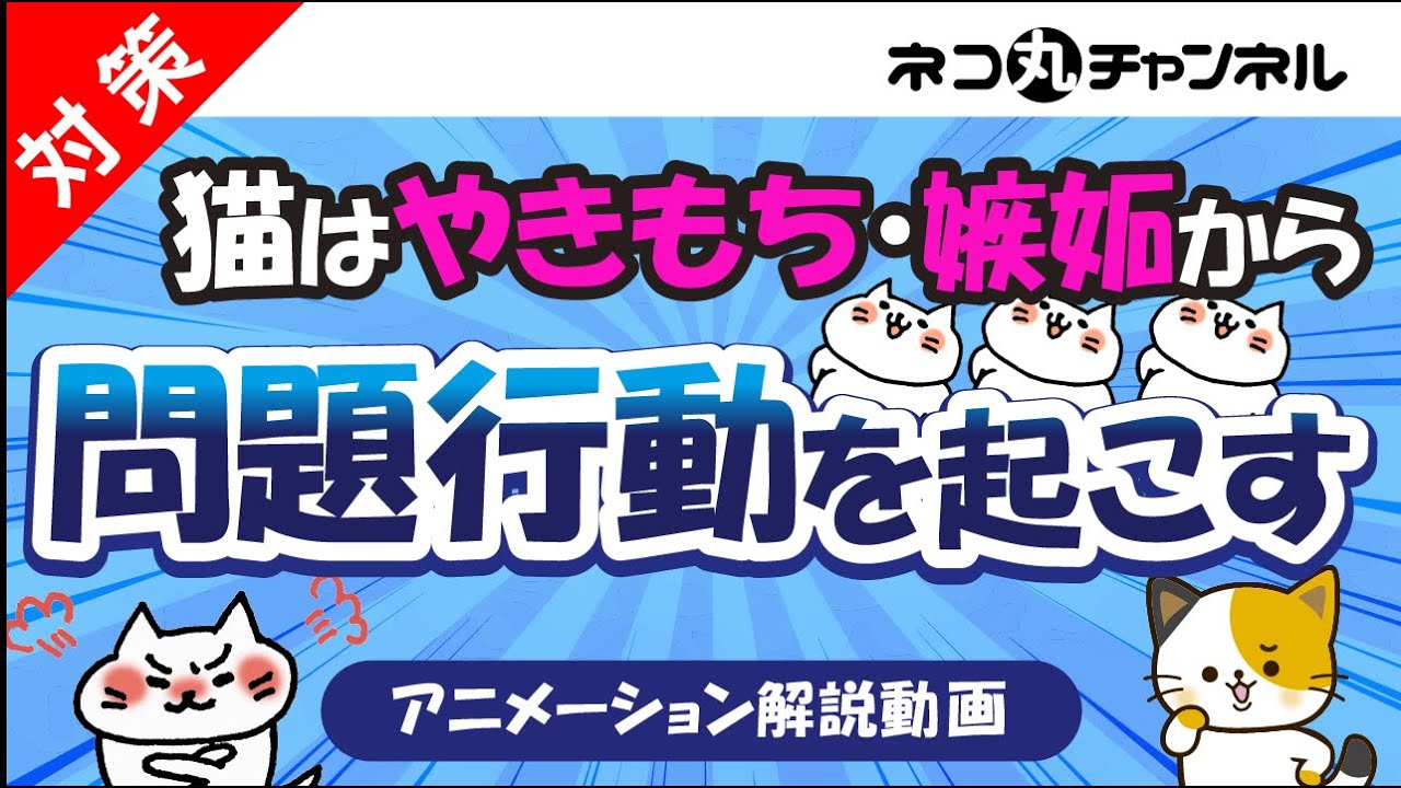 猫がやきもち・嫉妬から来る問題行動、飼い主が気を付けてあげるべき事とは？